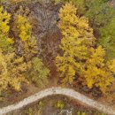 비내길 1구간 이미지