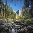 서부사랑