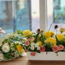 쁘띠보네르 이미지