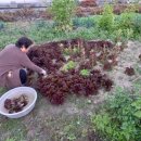 삼미가든 이미지