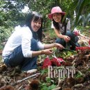 토실 토실 이미지