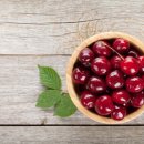 안녕 우리집 이미지