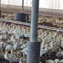 모리아팜 이미지