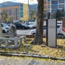 진잠동행정복지센터 이미지