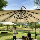 선비꼬마김밥 고령점 이미지