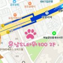 우남동물병원 네이버블로그