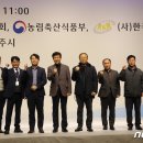 GCC웨딩