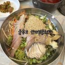 섬횟집 | 울릉도 사동항맛집 신비섬횟집 물회 솔직후기