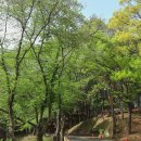 서진주ic주차장 이미지