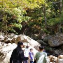 조강농장 이미지