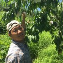 동보농장 이미지