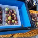 용복농장 이미지