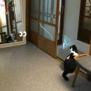 빈티지경주 이미지