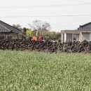 바우네 민박 이미지