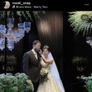 로젤리스냅 이미지
