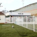 자랑하개 이미지