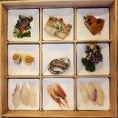 남서대로 | 국내 온천여행/국내료칸 숙소 남해 치유 풀빌라 호텔 /내돈내산 솔직 후기