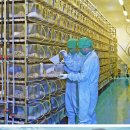 ㈜오리엔트바이오 이미지