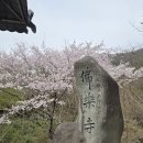 지리산로시난테하우스 네이버블로그