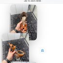 오태슈케어