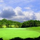 도고컨트리구락부 이미지