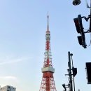 (집)세븐일레븐 광명티타워점 | [도쿄] 4일차~5일차 -이치란 라멘, 아사쿠사 센소지, 긴자 유니클로, 헬로키티 커스텀티, 츠지한, 도쿄타워