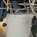 센텀애견샵 이미지