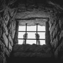 현대축사 이미지