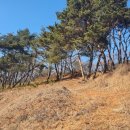 썬샤인유치원 이미지