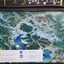 완월동222 이미지