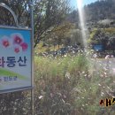 백동무궁화동산 네이버블로그