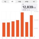 울주공연배달 1회차 | 21주차 임산부 중국 상해 태교여행 4박5일 후기