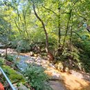 쿠우쿠우 양주옥정점 이미지