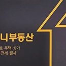 써니공인중개사사무소 이미지