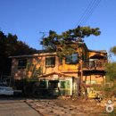 외포리꽃게집 이미지