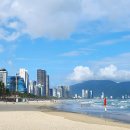 탑할인마트 | 다낭 롯데마트 가격 망고 뷰모리샵 쇼핑리스트 비교 찐 후기