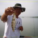 남원유도관 이미지