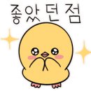 손수네일