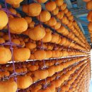 덕장농장 이미지