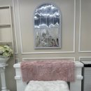 멍멍이 미용실 이미지