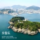 2025년 봄, 여수 가볼만한 곳 완벽 가이드 - 꽃구경부터 해양체험까지!