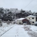 양양별장펜션 이미지