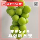 태화농수산 샤인머스켓 추천(고당도 샤인머스켓)