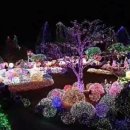 하늘나라식당 이미지