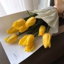 헤어디자인모모