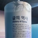 갯지렁이 전시관 네이버블로그