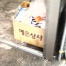 예은상사 Daum카페