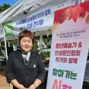 내혜홀 이미지