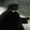 리즈동물병원 이미지