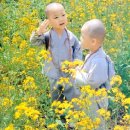 봄,여름,가을,겨울 이미지